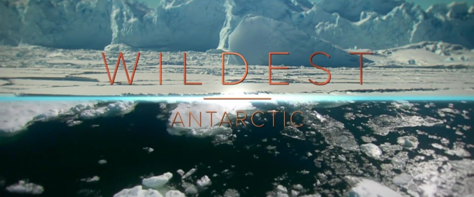Wildest Places