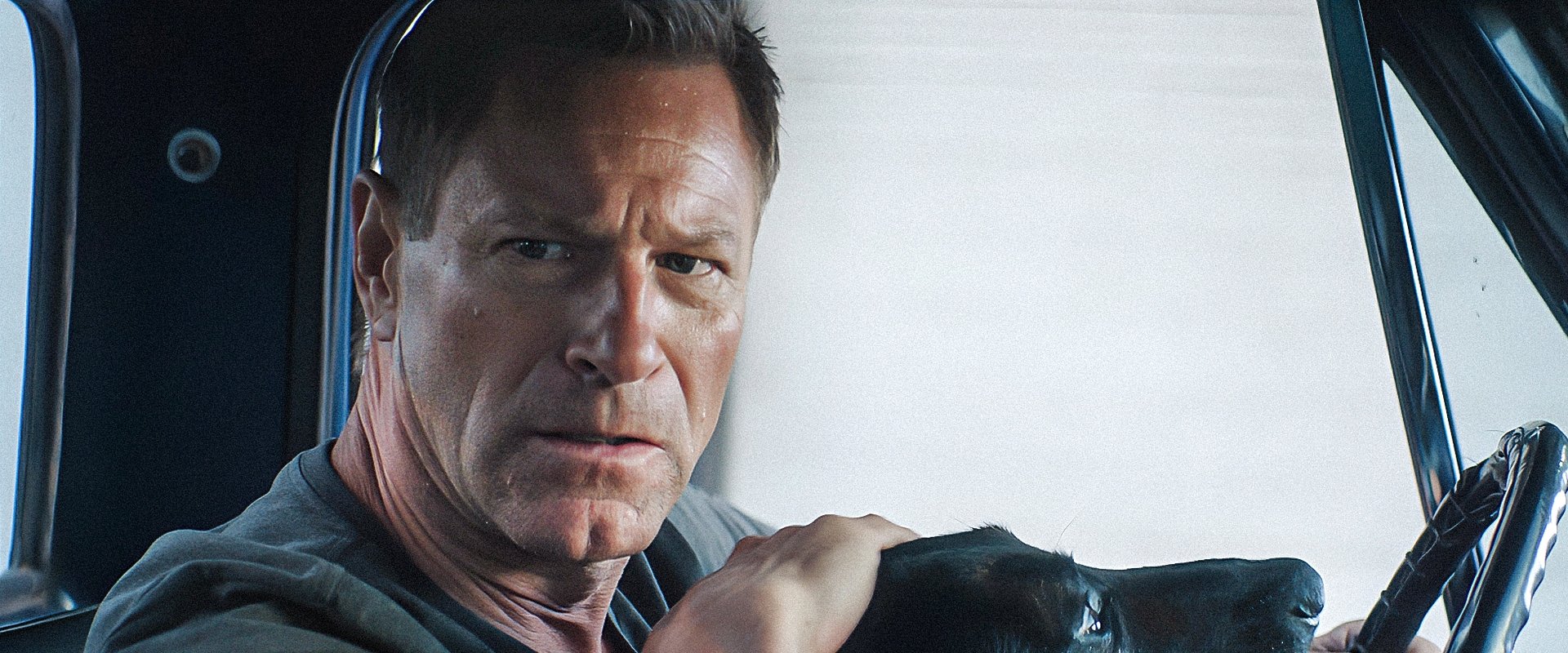 Muzzle: City of Wolves