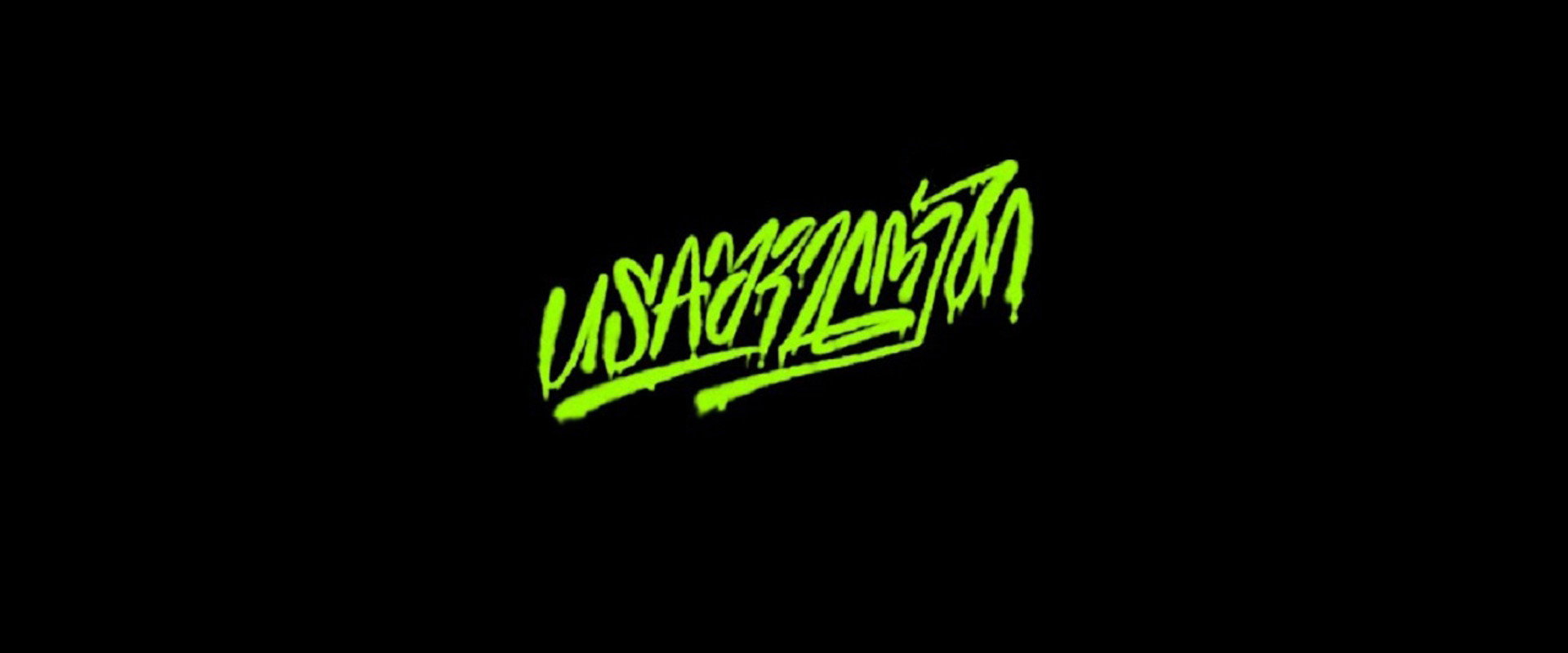 USAshveloebi's banner image
