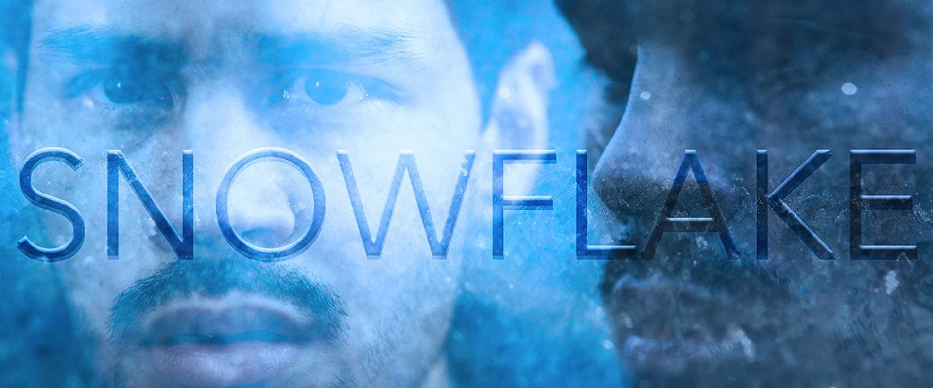 Snowflake's banner image