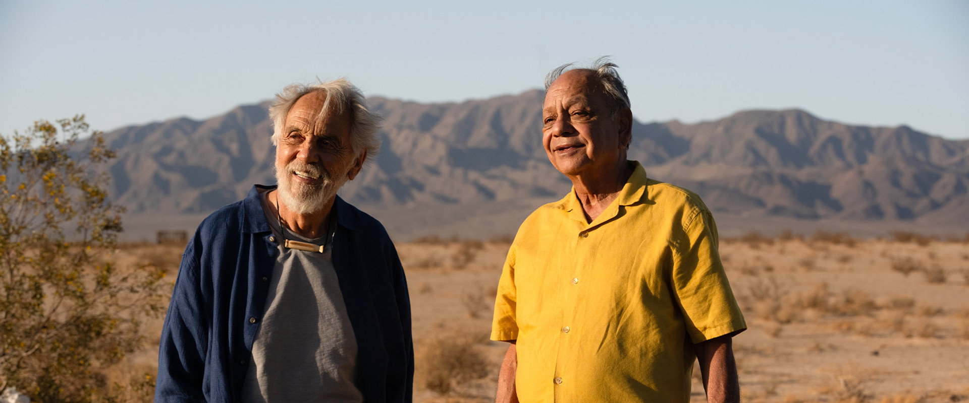 Cheech & Chong's Last Movie's banner image