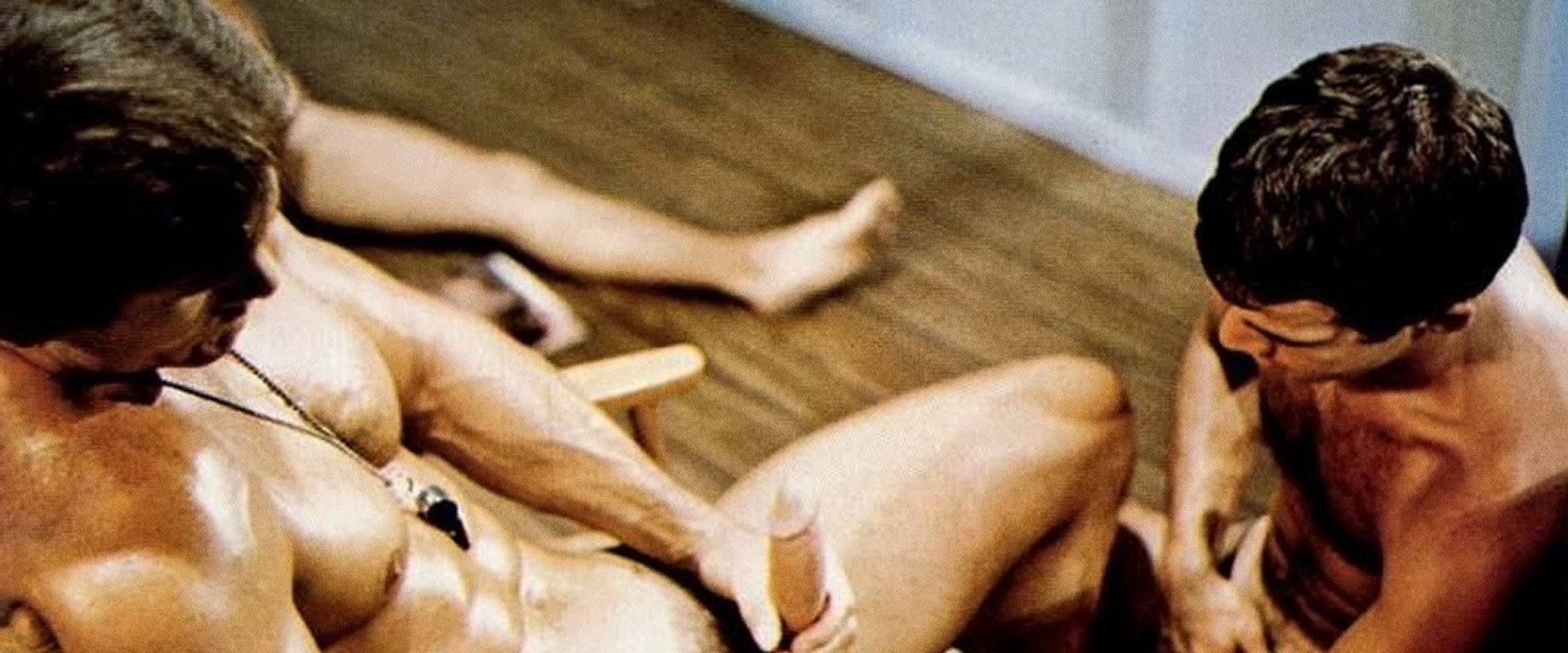 Pleasures in the Sun's banner image