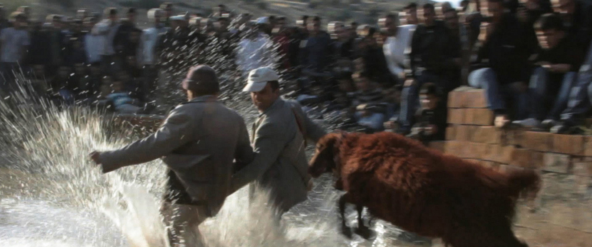 Cycle's banner image