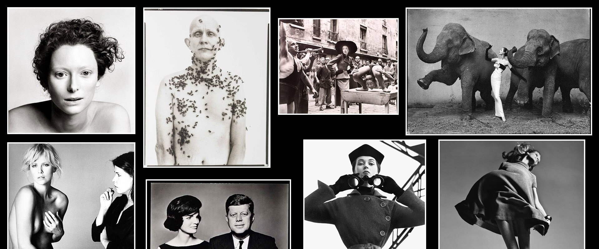 American Masters's banner image