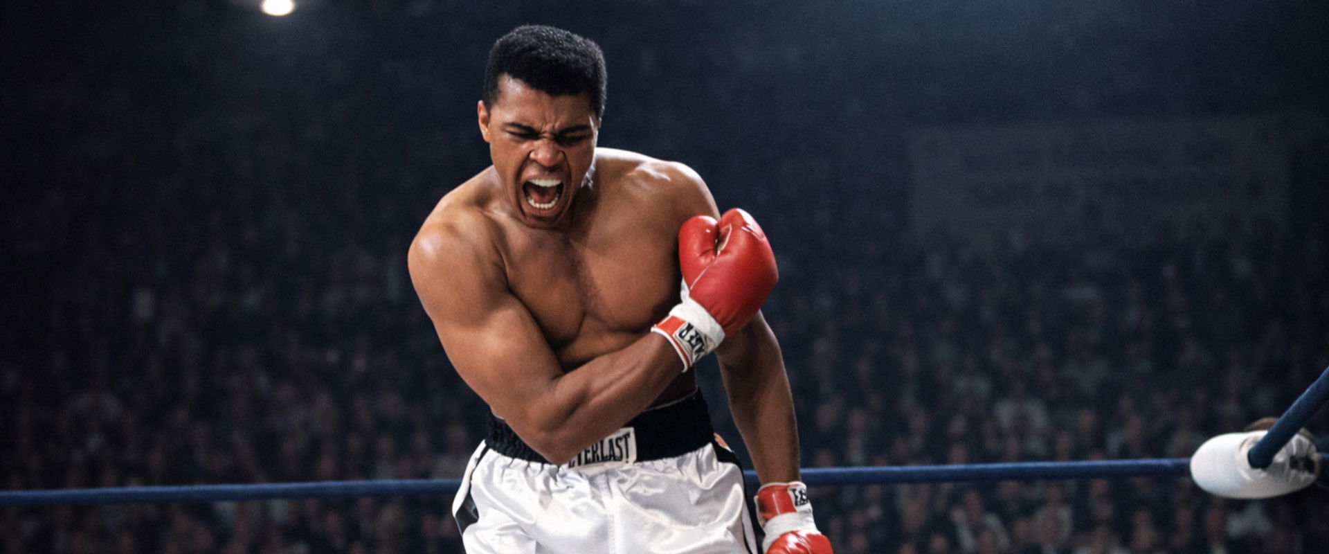 UNDEFEATED: A Muhammad Ali Story's banner image