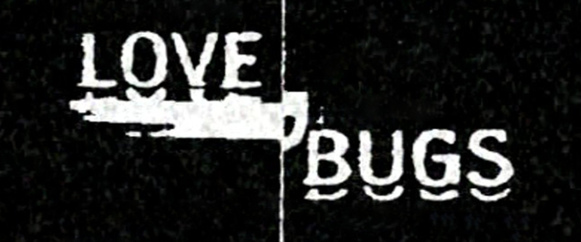 Love Bugs