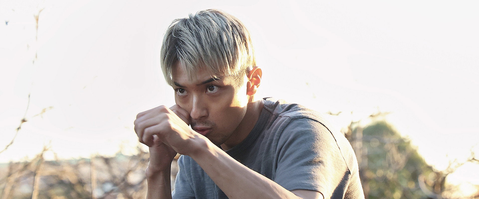 One Last Bloom's banner image