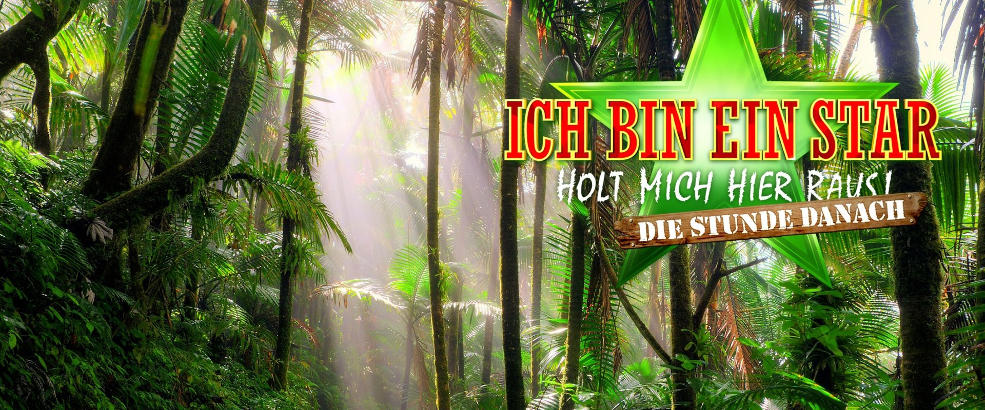 Ich bin ein Star – Holt mich hier raus! Die Stunde danach