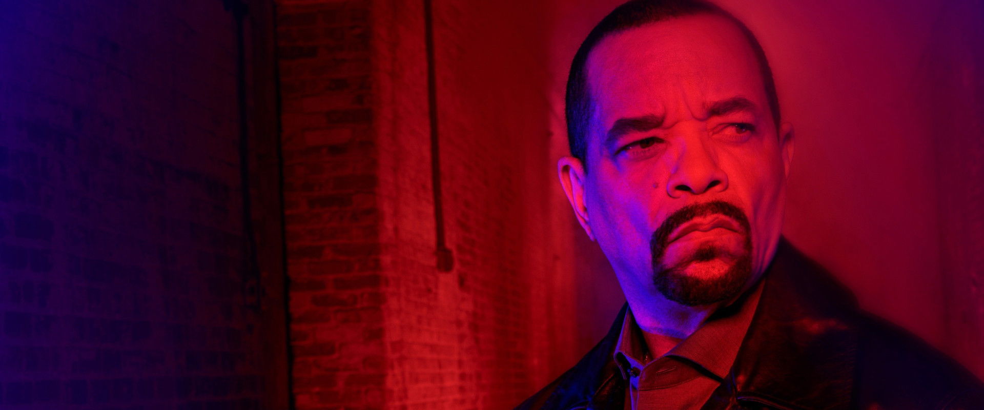 In Ice Cold Blood's banner image