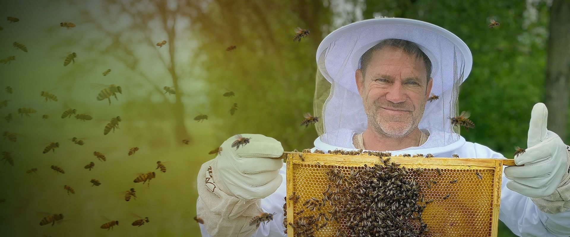 The Secret Life of Bees