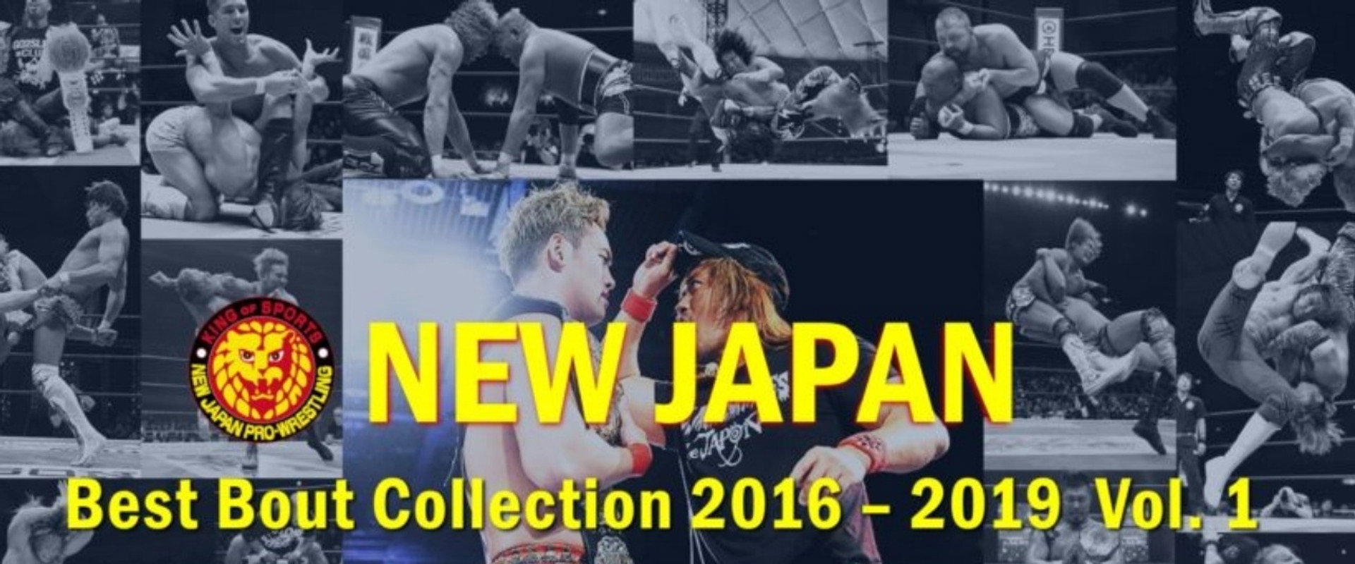 NJPW Best Bout Collection Vol 1.'s banner image