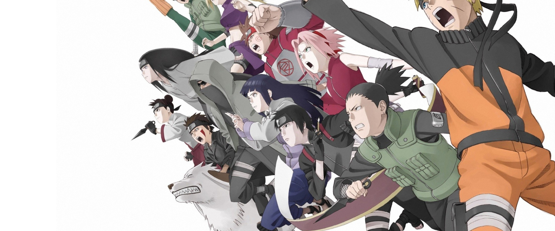 Naruto Shippuden 3: Los Herederos De La Voluntad De Fuego (2009) — imagen panoramica