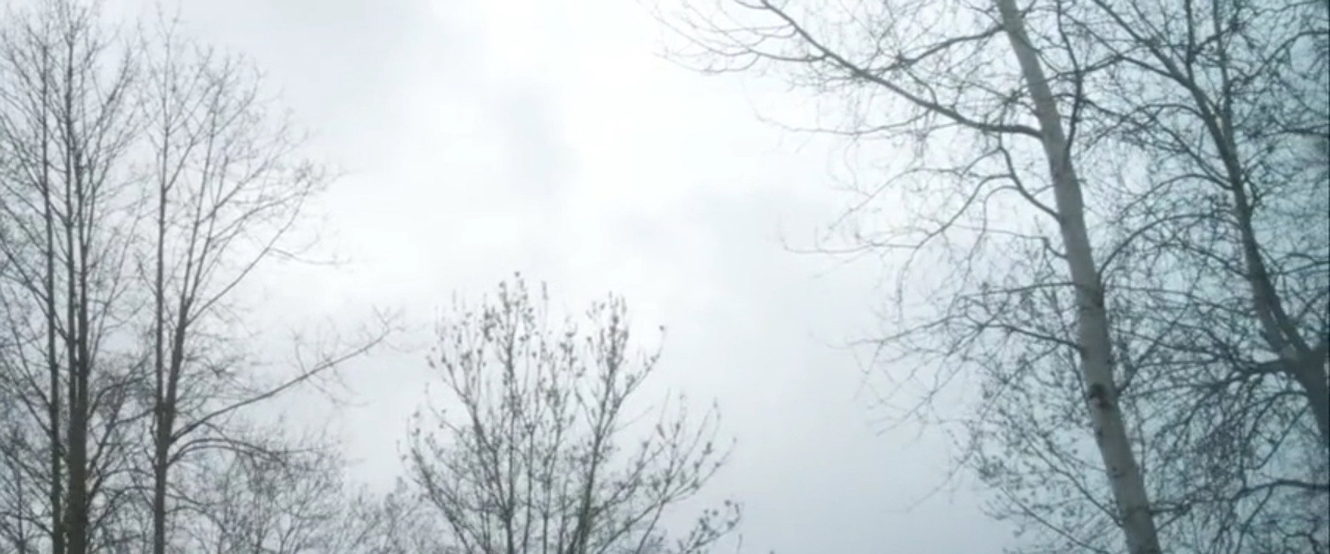 La Traversée's banner image
