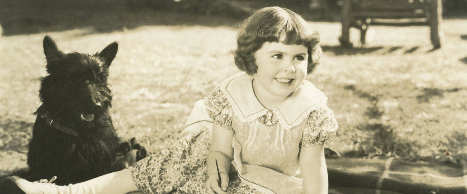 Alias Mary Dow's banner image