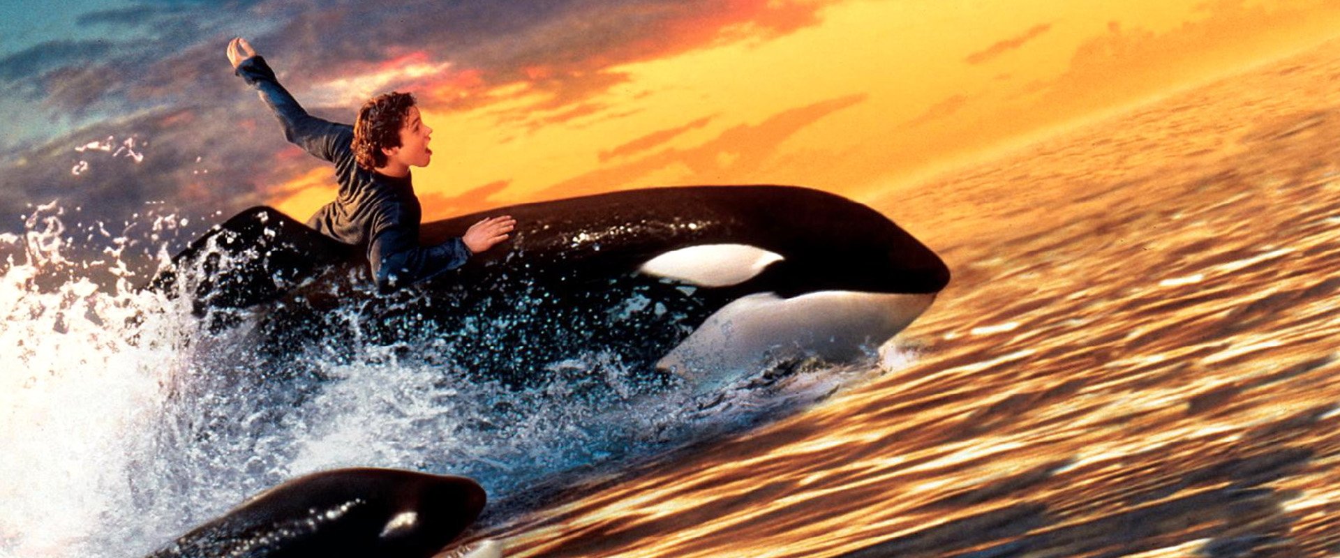 Free Willy 2: The Adventure Home