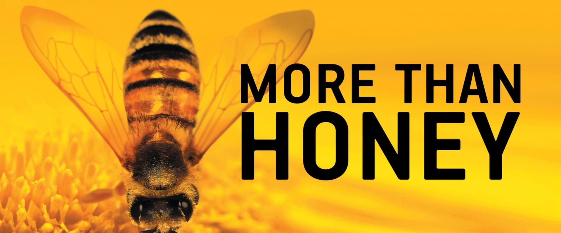 More than Honey - Bitterer Honig