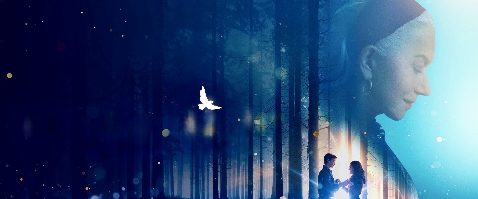 White Bird
