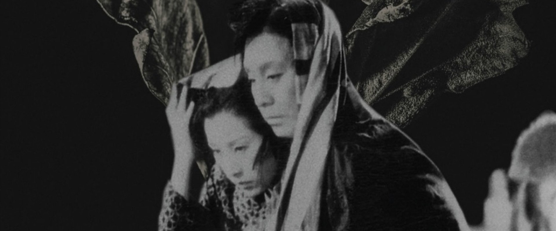 The Story of the Last Chrysanthemum