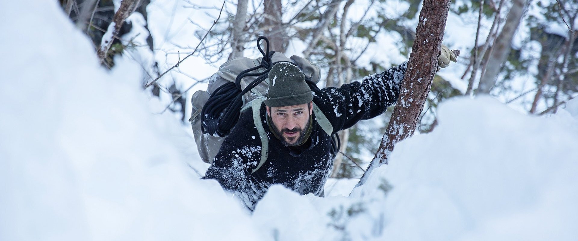 Hazen's Wild Survival Guide