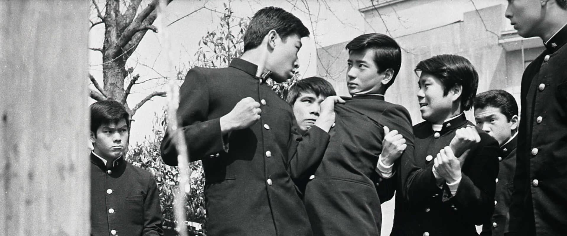 Seishun zenki: Aoi kajitsu's banner image