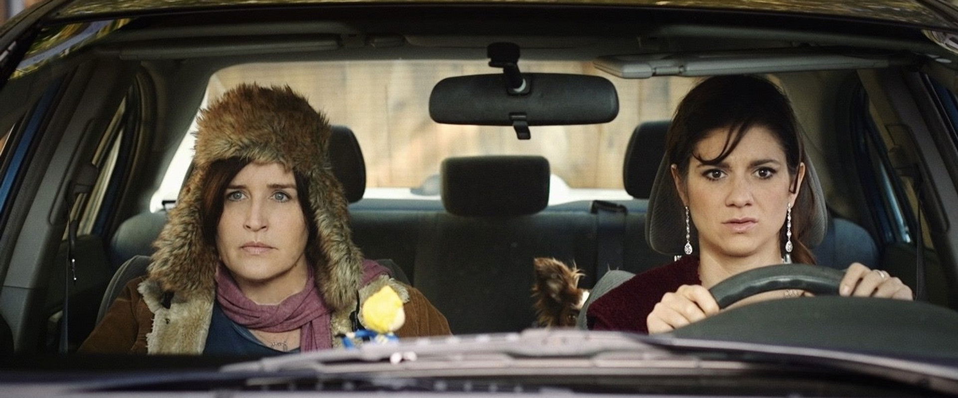 The Swan's banner image