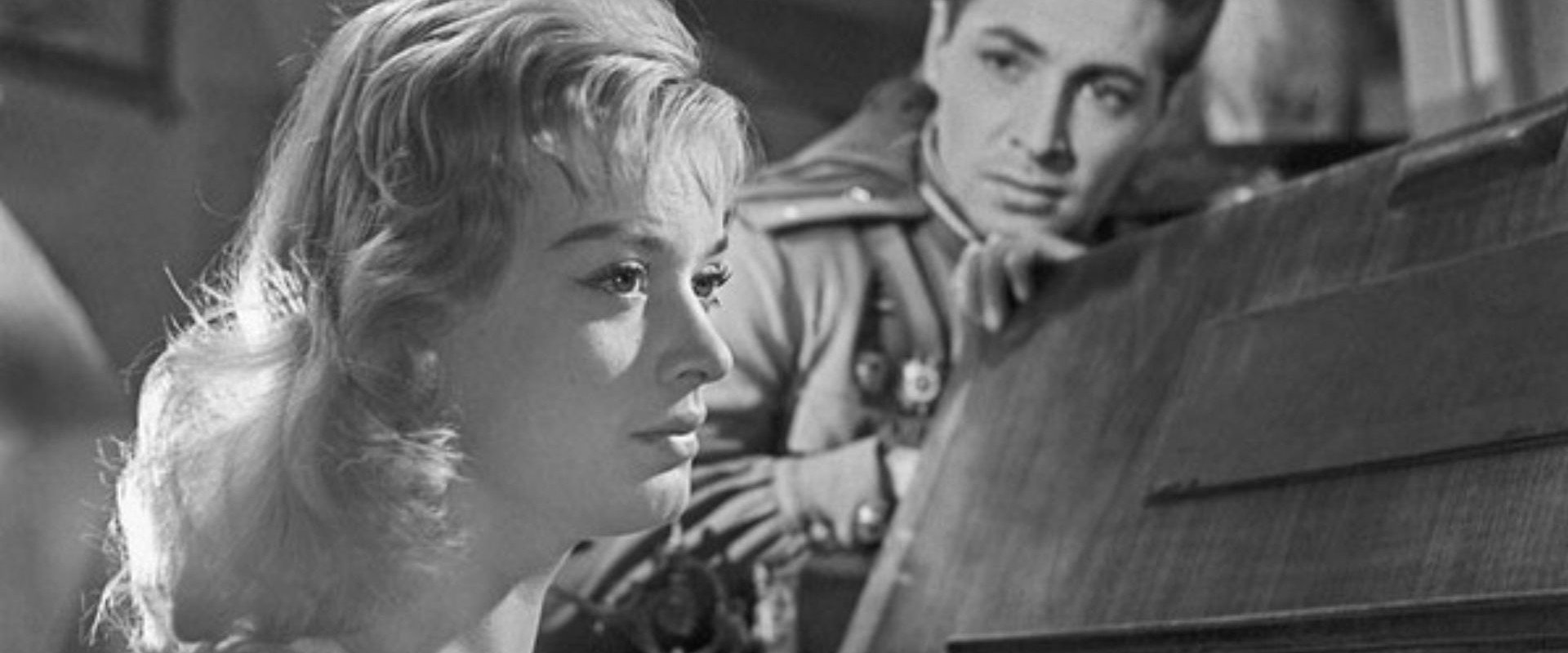 May Stars's banner image