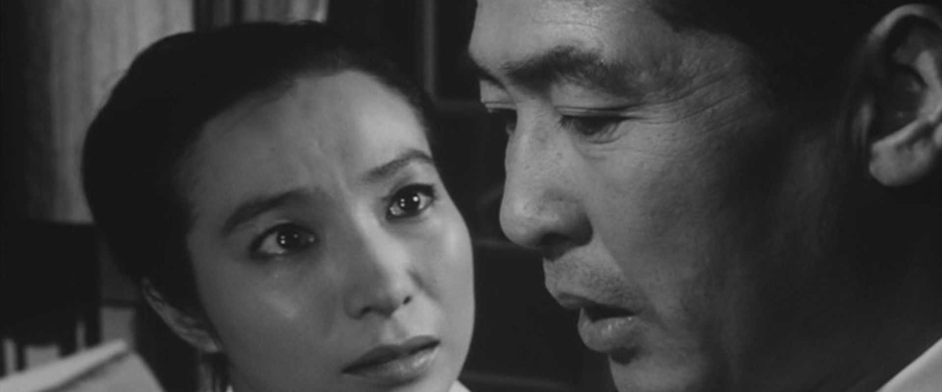 The Stranger Within a Woman's banner image