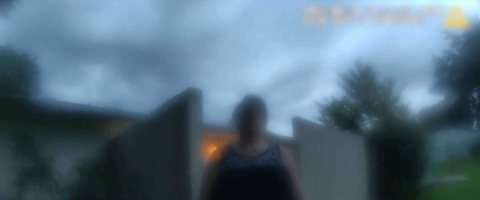 The Perfect Neighbor