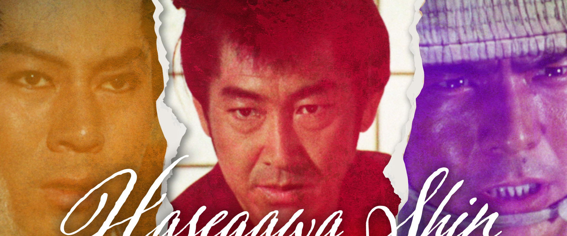 The Shin Hasegawa Series