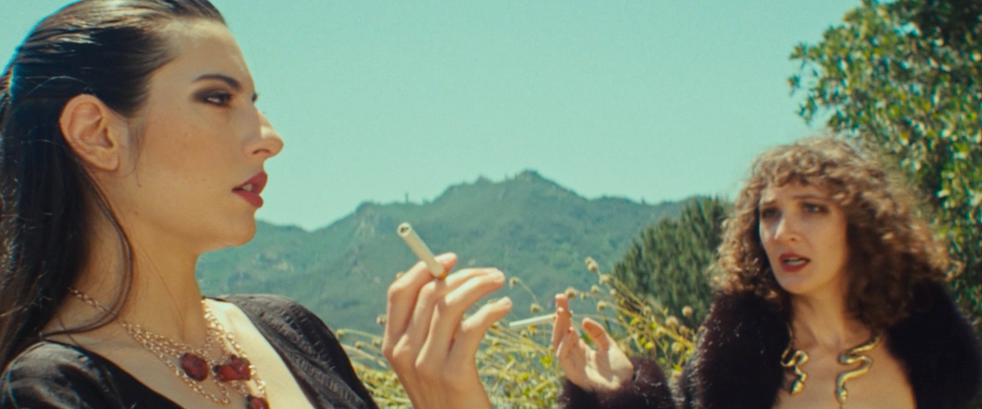 Mountain Bois's banner image