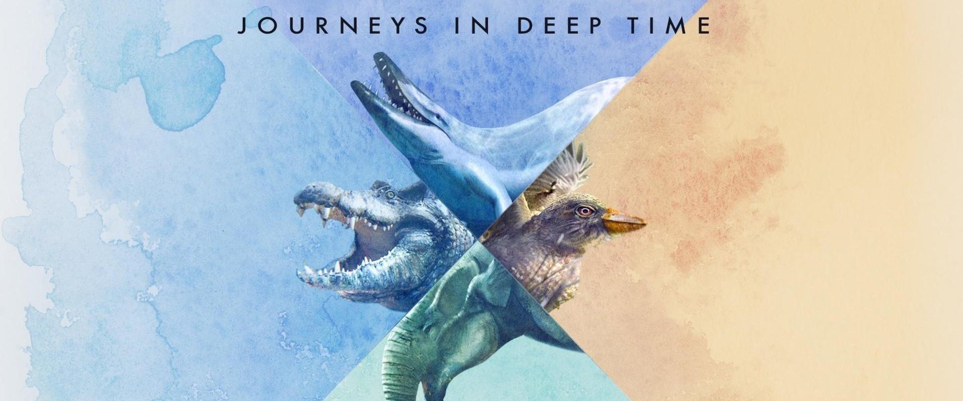 When Whales Walked: Journeys in Deep Time