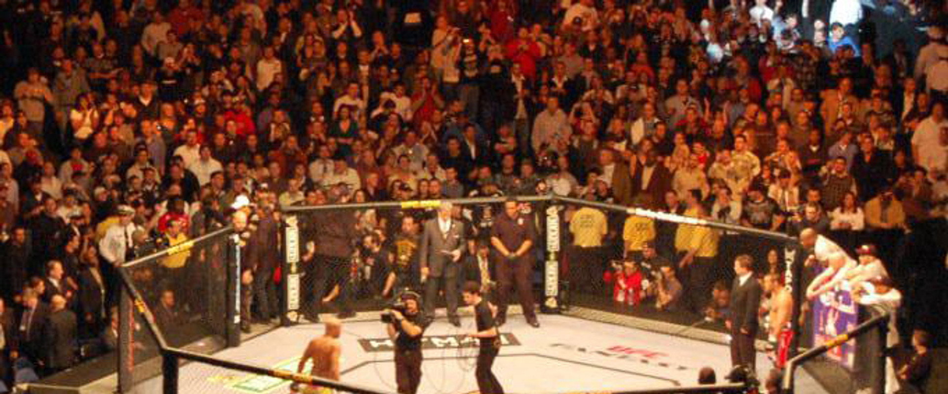The Ultimate Fighter