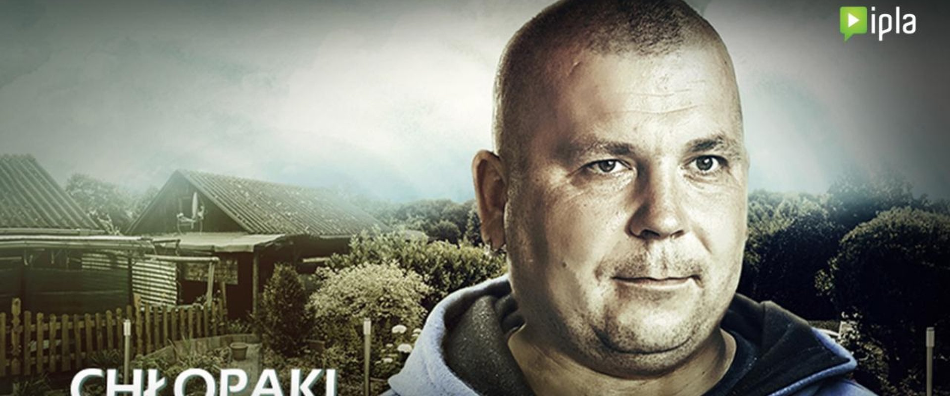 Chłopaki do wzięcia