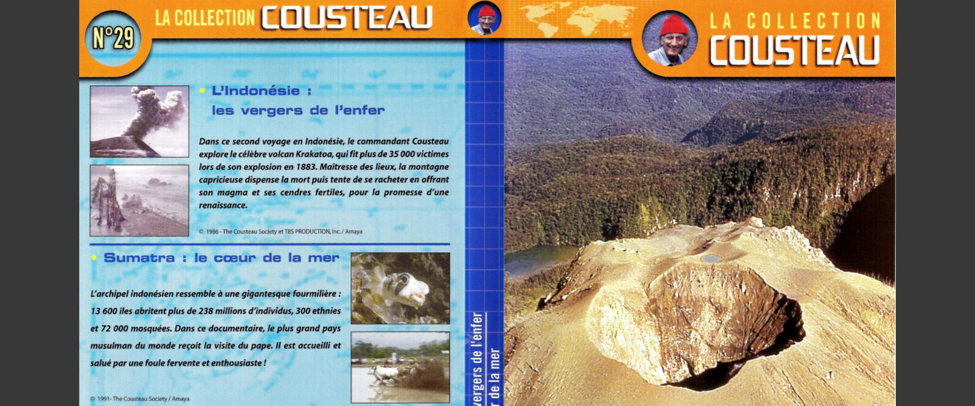 The Cousteau Collection N°35-1 | The Sharks's banner image