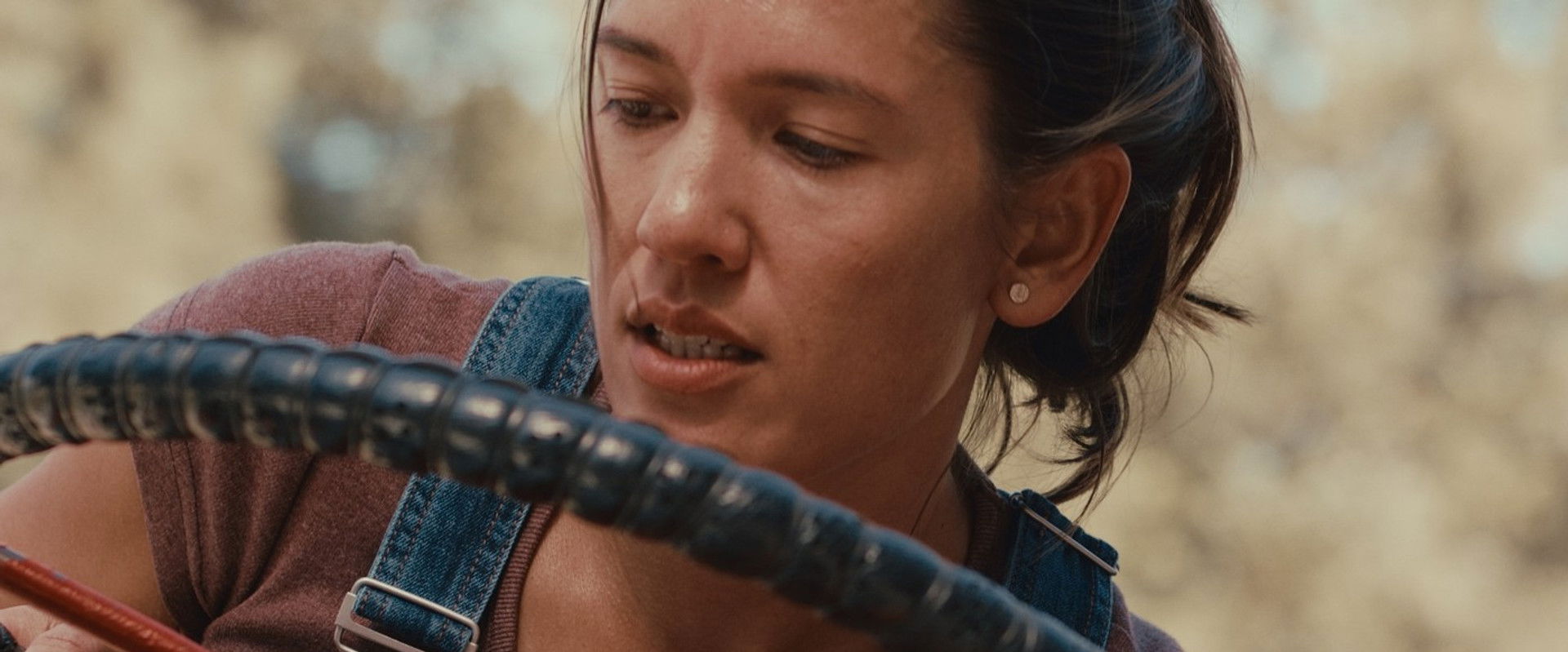 Last Tour Home's banner image