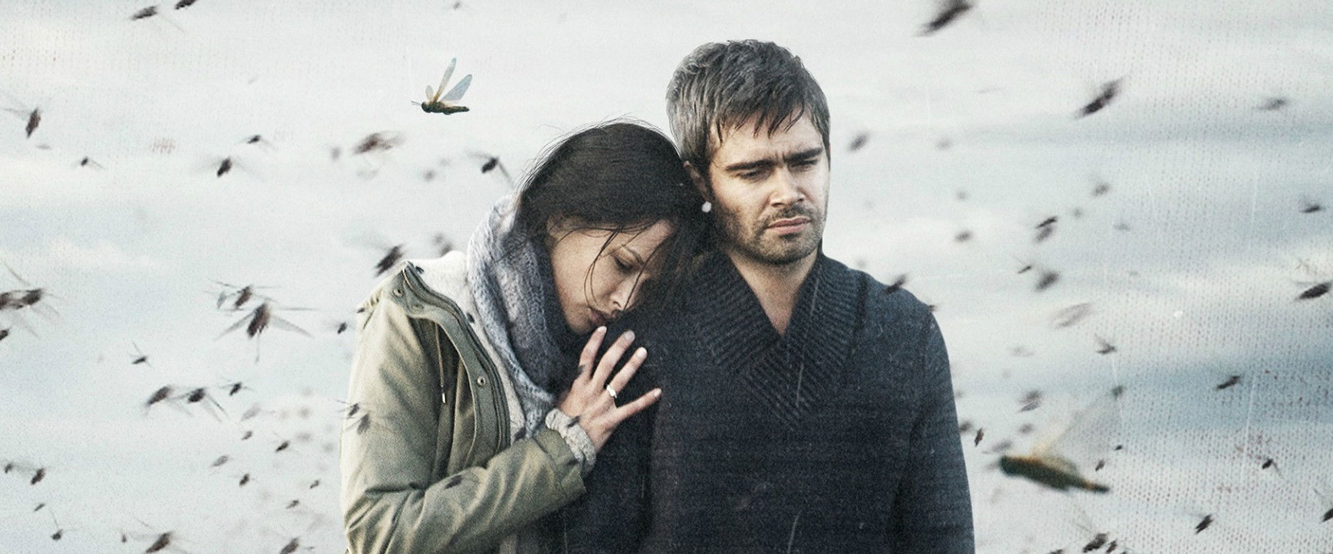 Locust's banner image