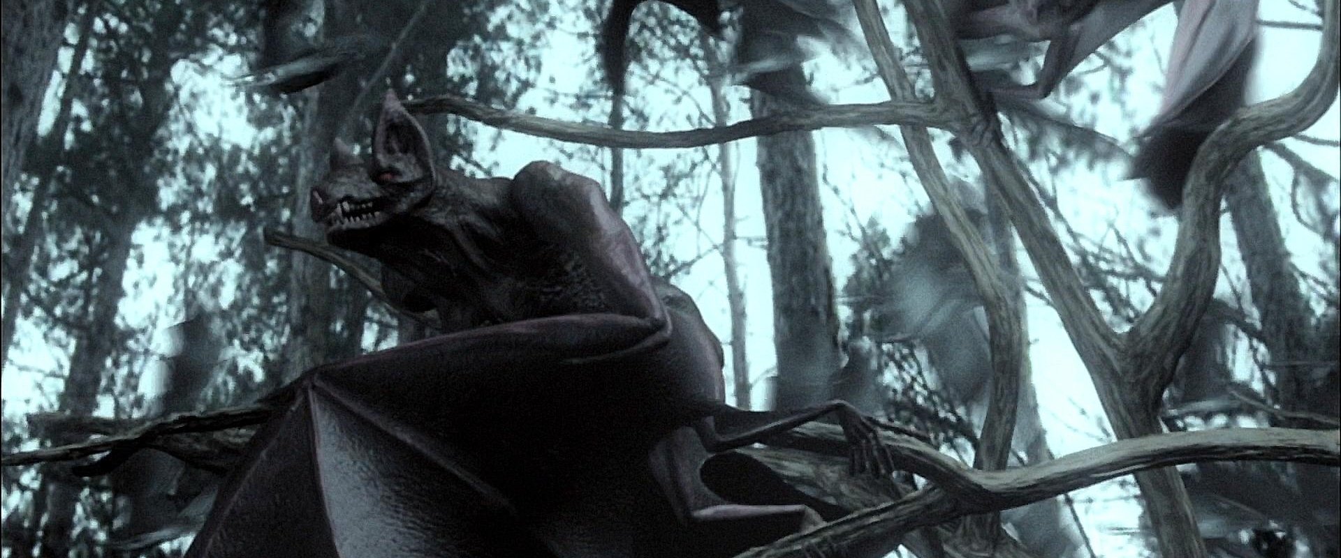 Bats: Human Harvest