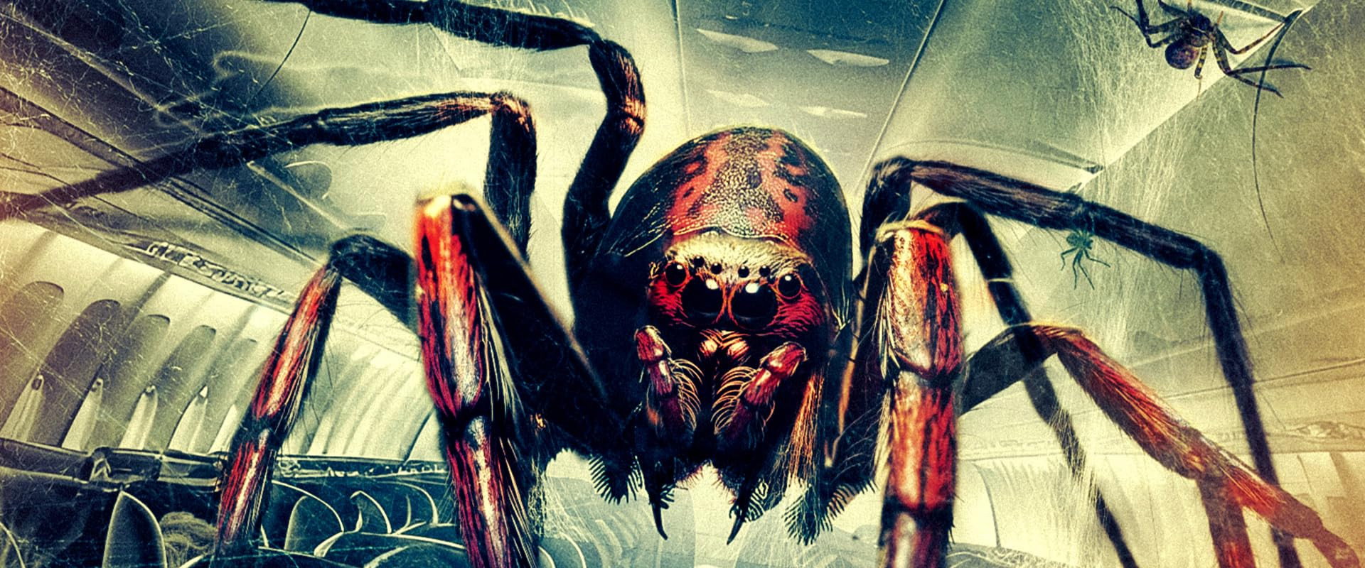 Spiders on a Plane's banner image
