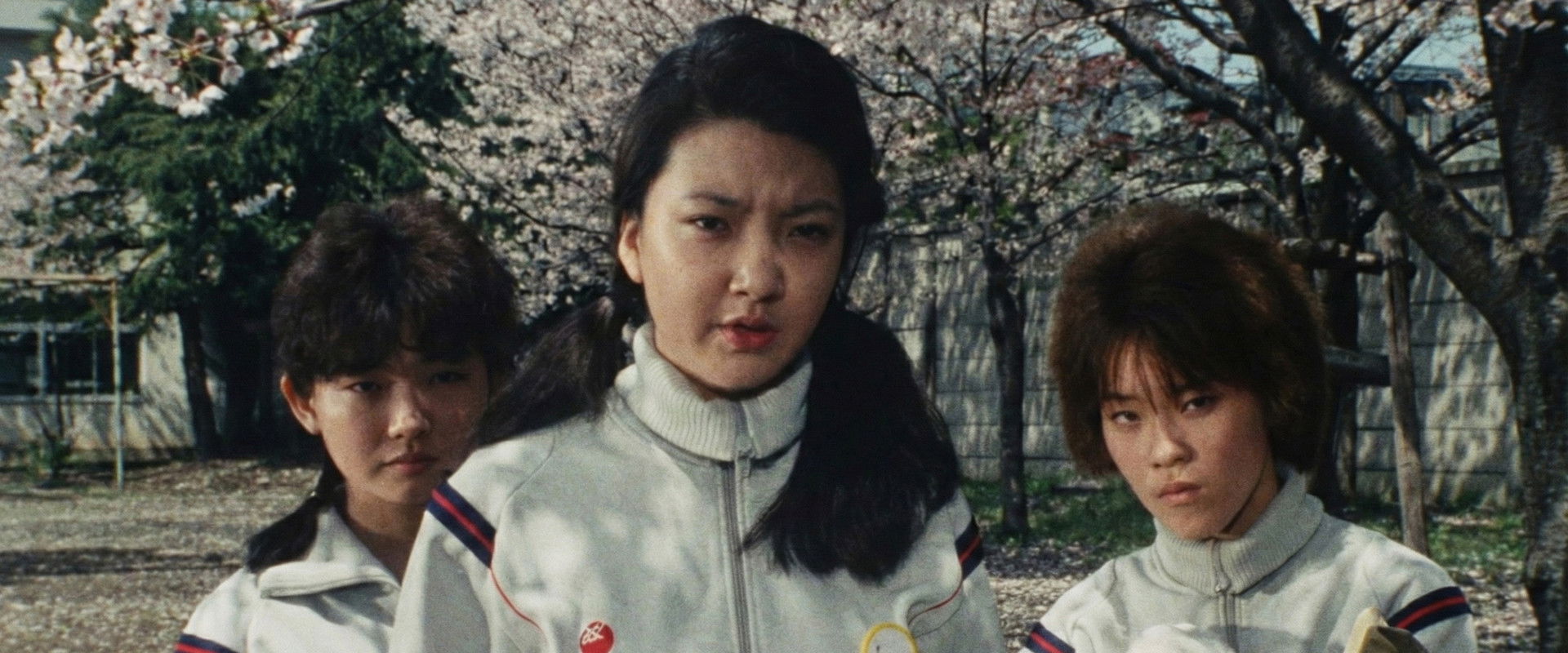 They Called Me a Bad Girl's banner image