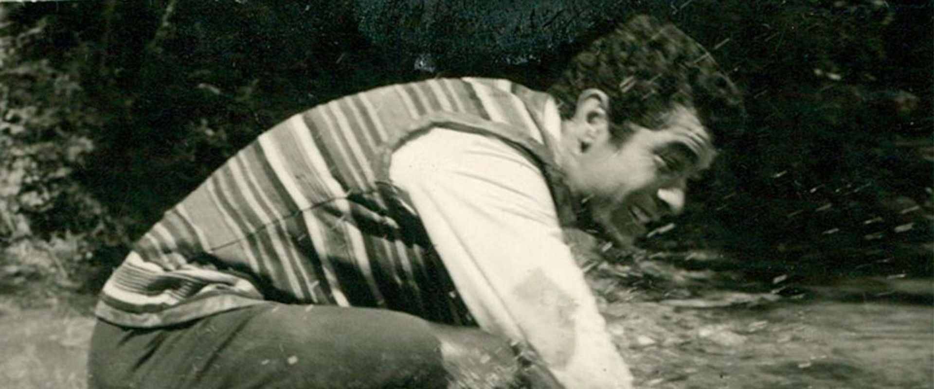 Dalahoo's banner image