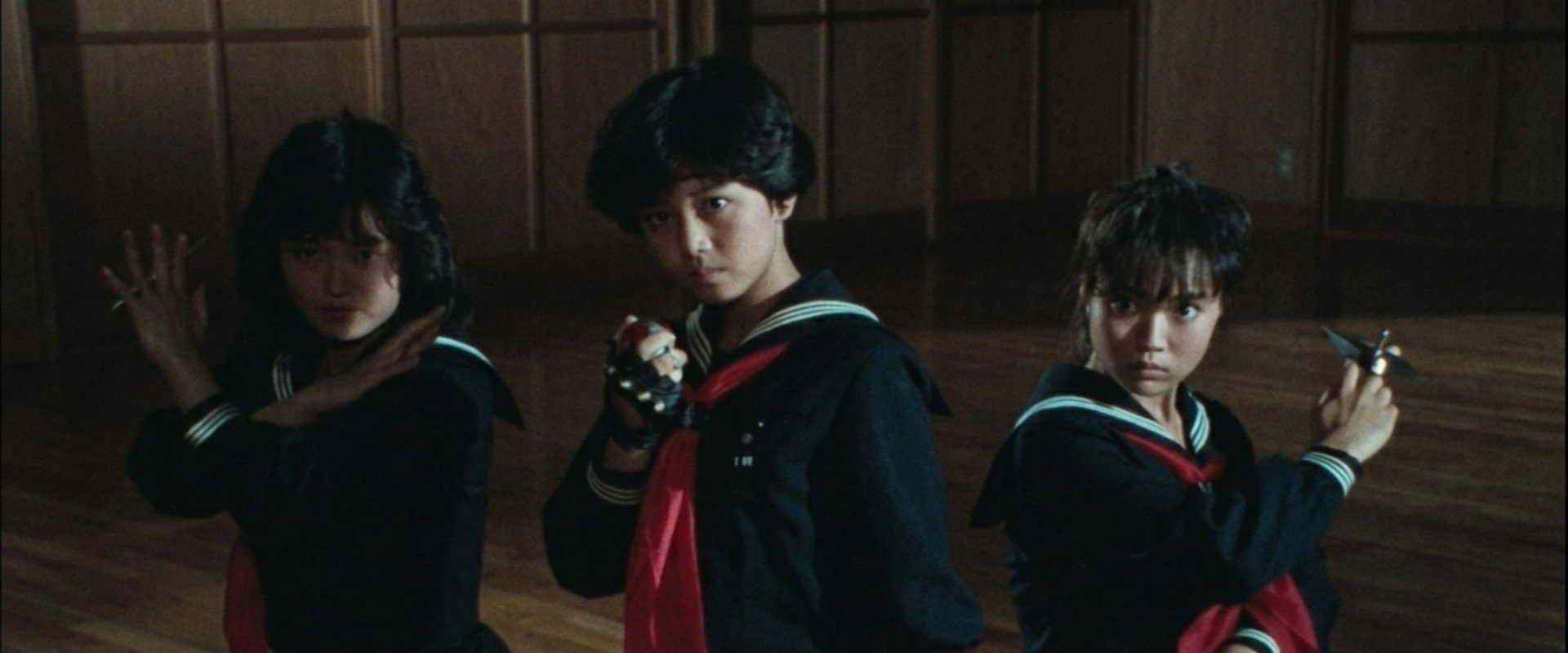 飞女刑事III 少女忍法帖传奇