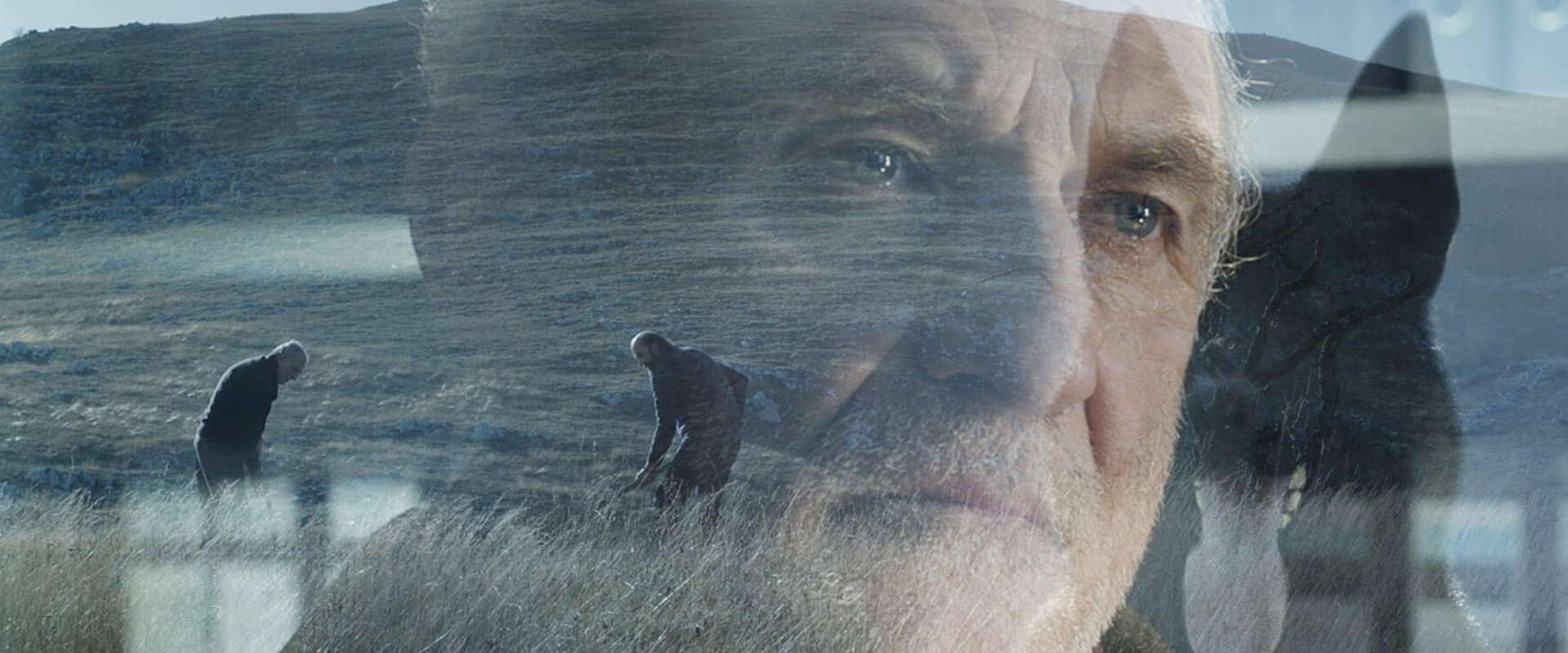Neverending Past's banner image