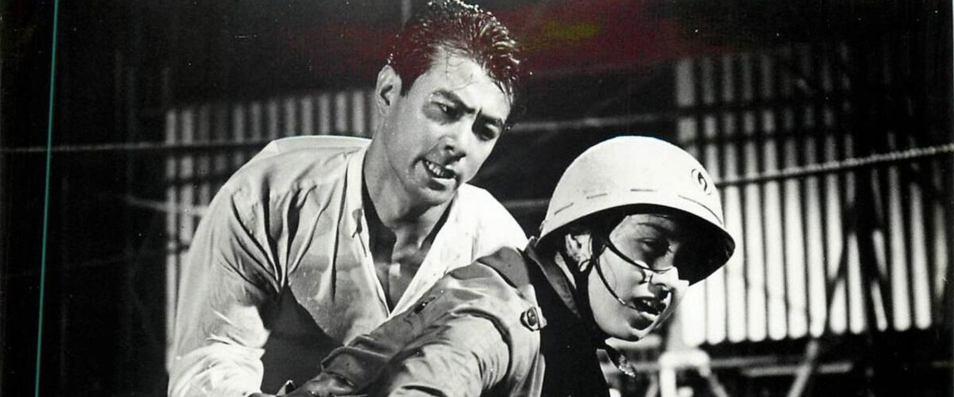 Typhoon Reporter's banner image