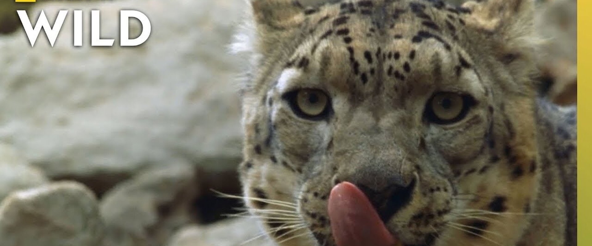 China's Wild Side