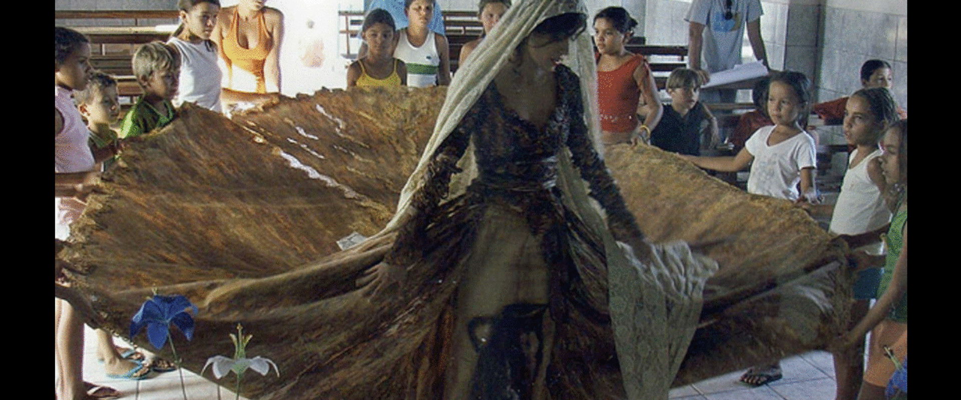 Viva o Cinema Brasileiro!'s banner image