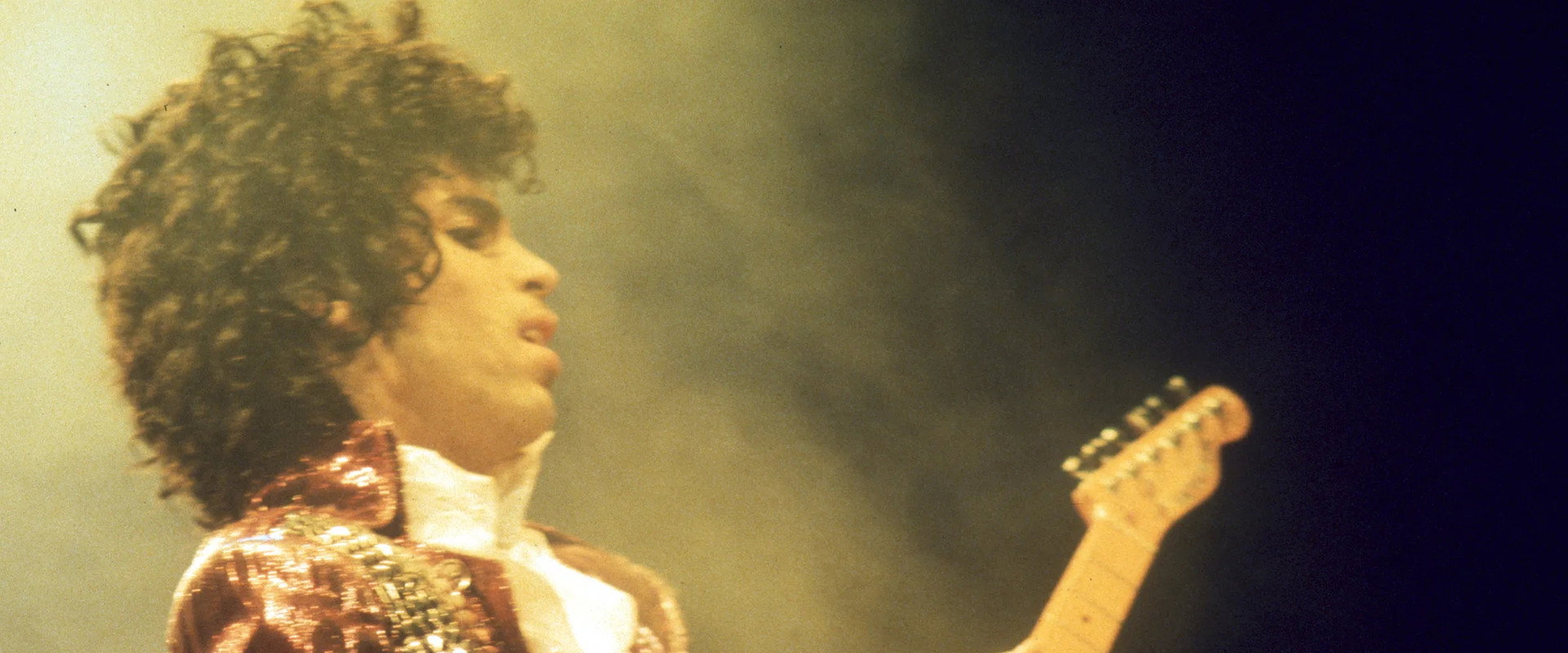 Prince: 1999 Live In Houston 12-29-82's banner image