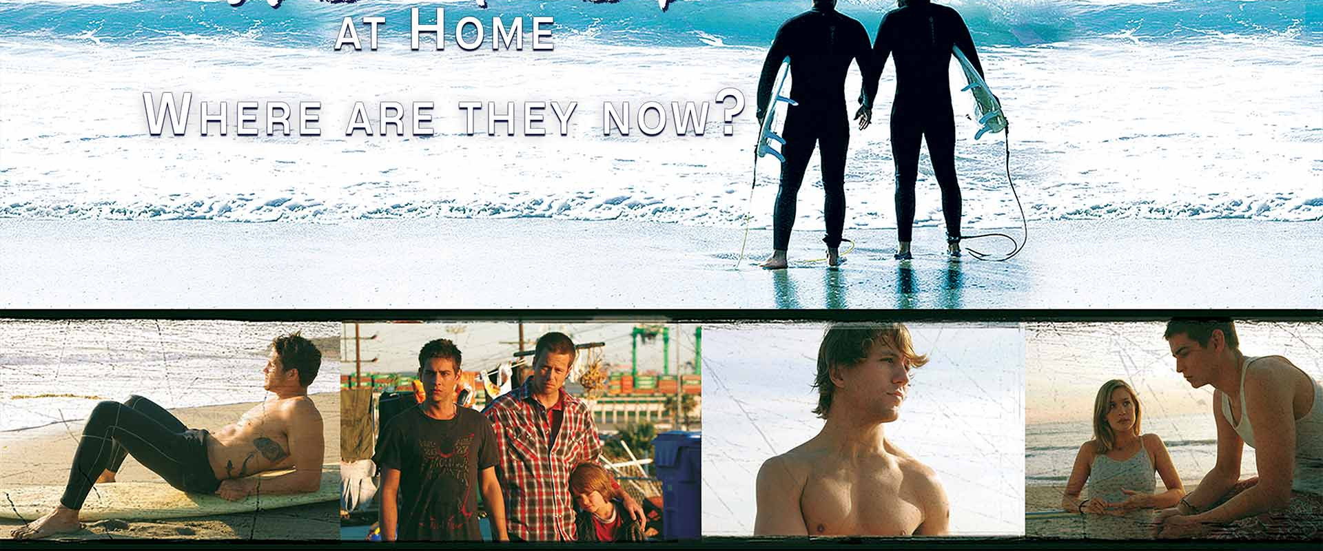 Shelter at Home: Where Are They Now?'s banner image