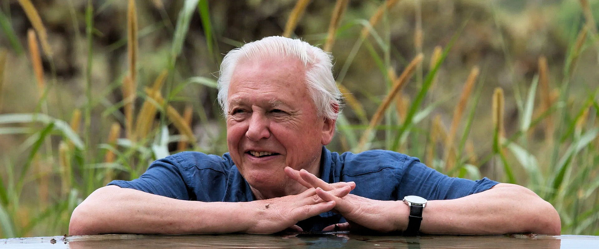 David Attenborough's Global Adventure