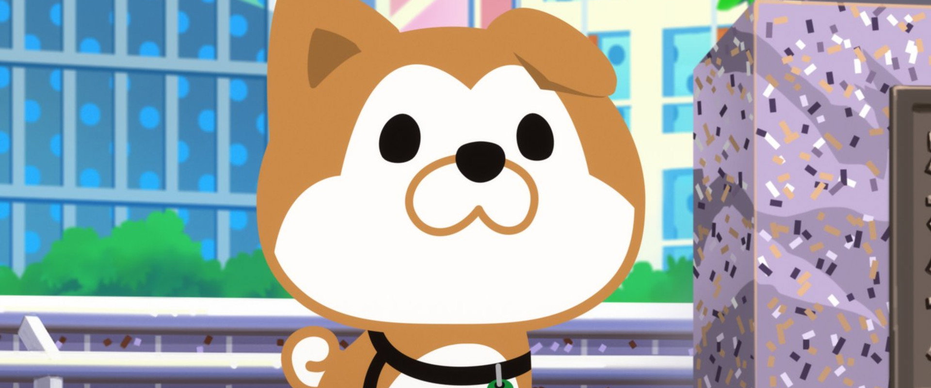 SHIBUYA♡HACHI's banner image