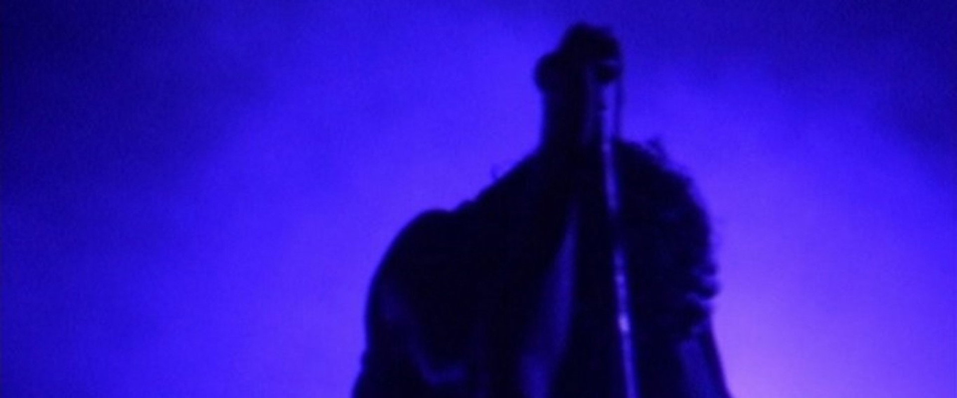 Nine Inch Nails Live: And All That Could Have Been  nails